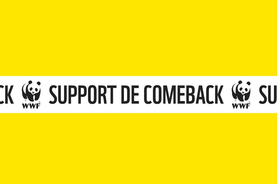Support de Comeback