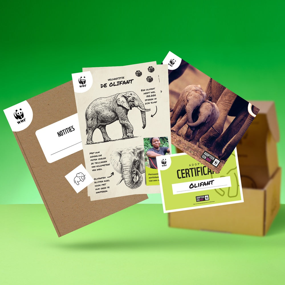 Adopteer een olifant 02