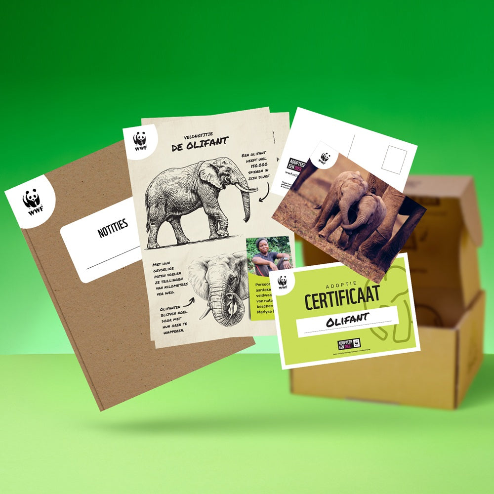 Adopteer een olifant 03