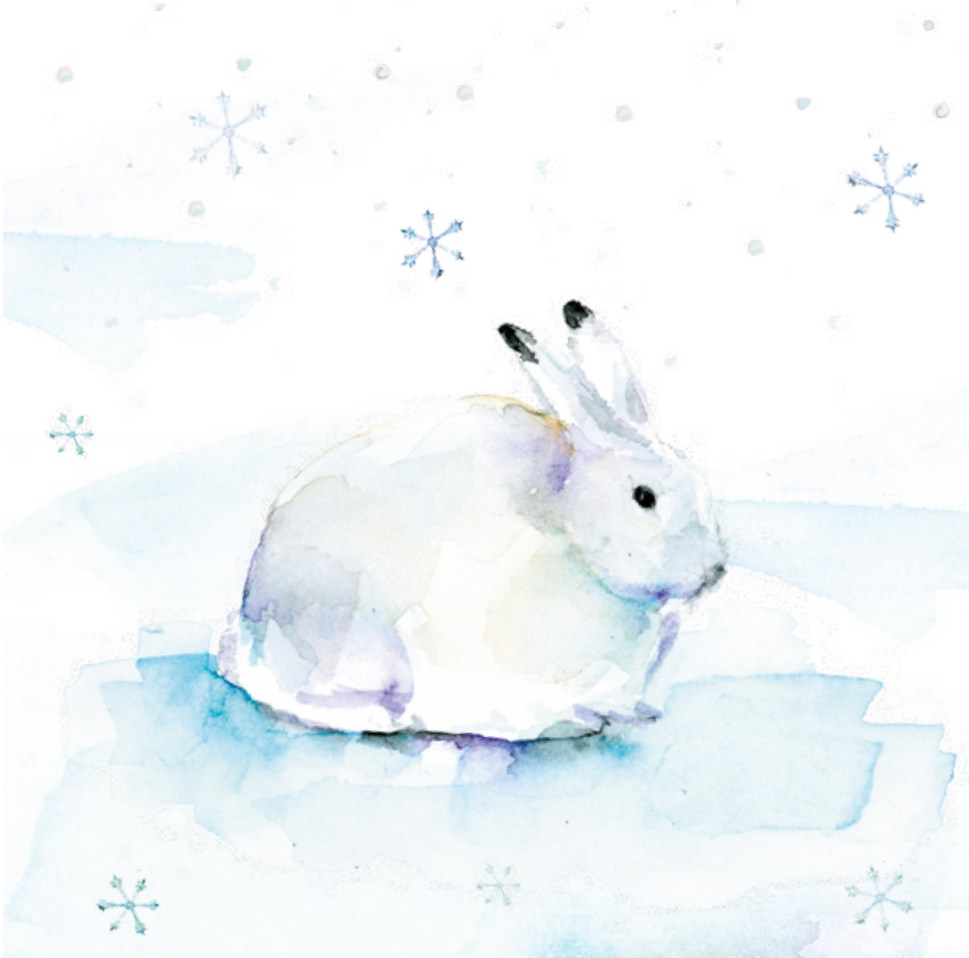 Bekking & Blitz x WWF kerstkaarten Arctic winter Michelle Dujardin 05 WWF-Webshop