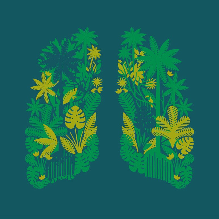 Okimono x WWF Groene Longen detail WWF-Webshop