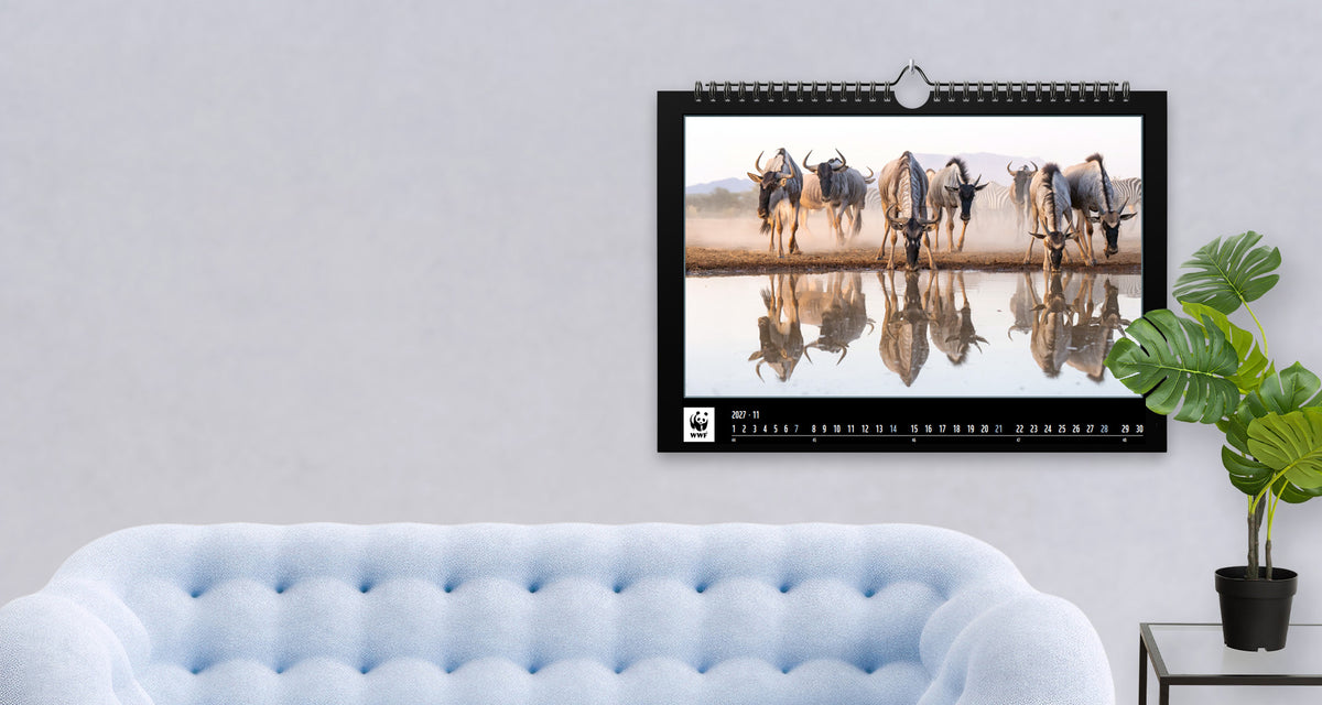 Wandkalender 2027 header WWF-Webshop