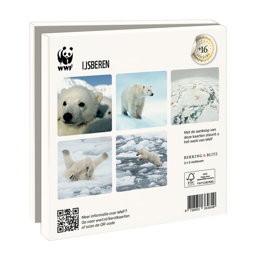 WWF kerstkaartenmapje - IJsberen - 10 vierkante kerstkaarten met envelop