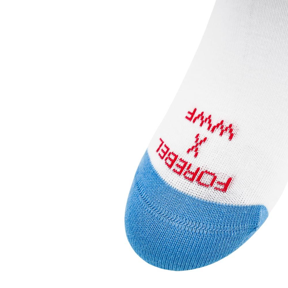 Forebel x WWF - Winter editie - IJsbeer