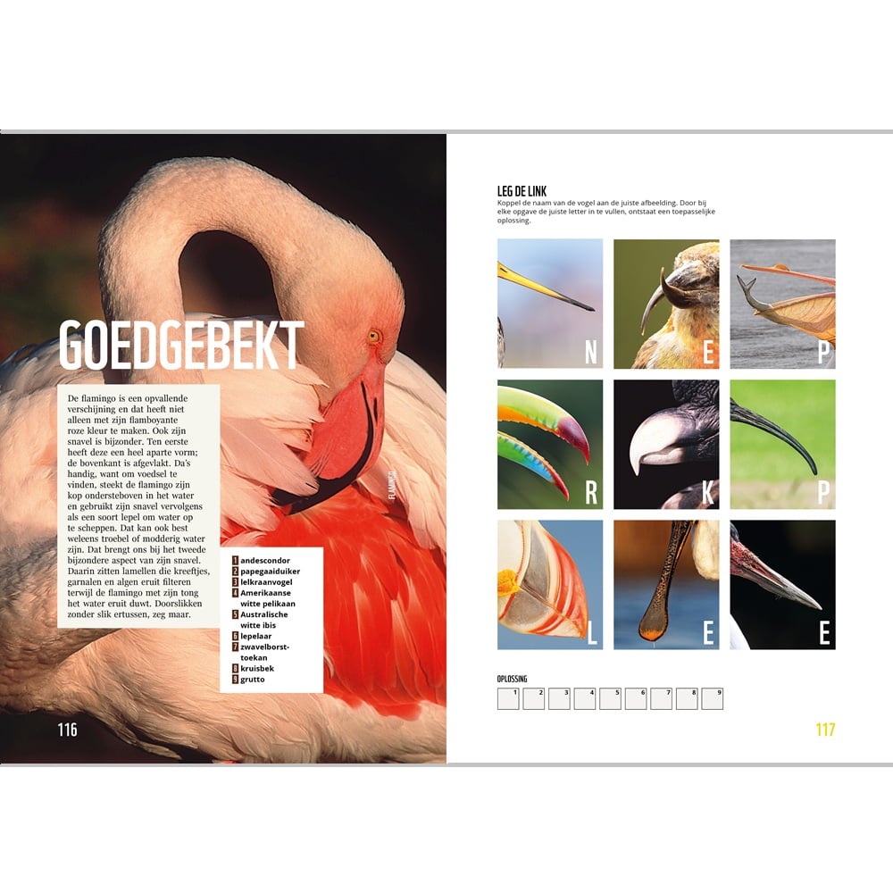 Het WWF Dieren puzzelboek