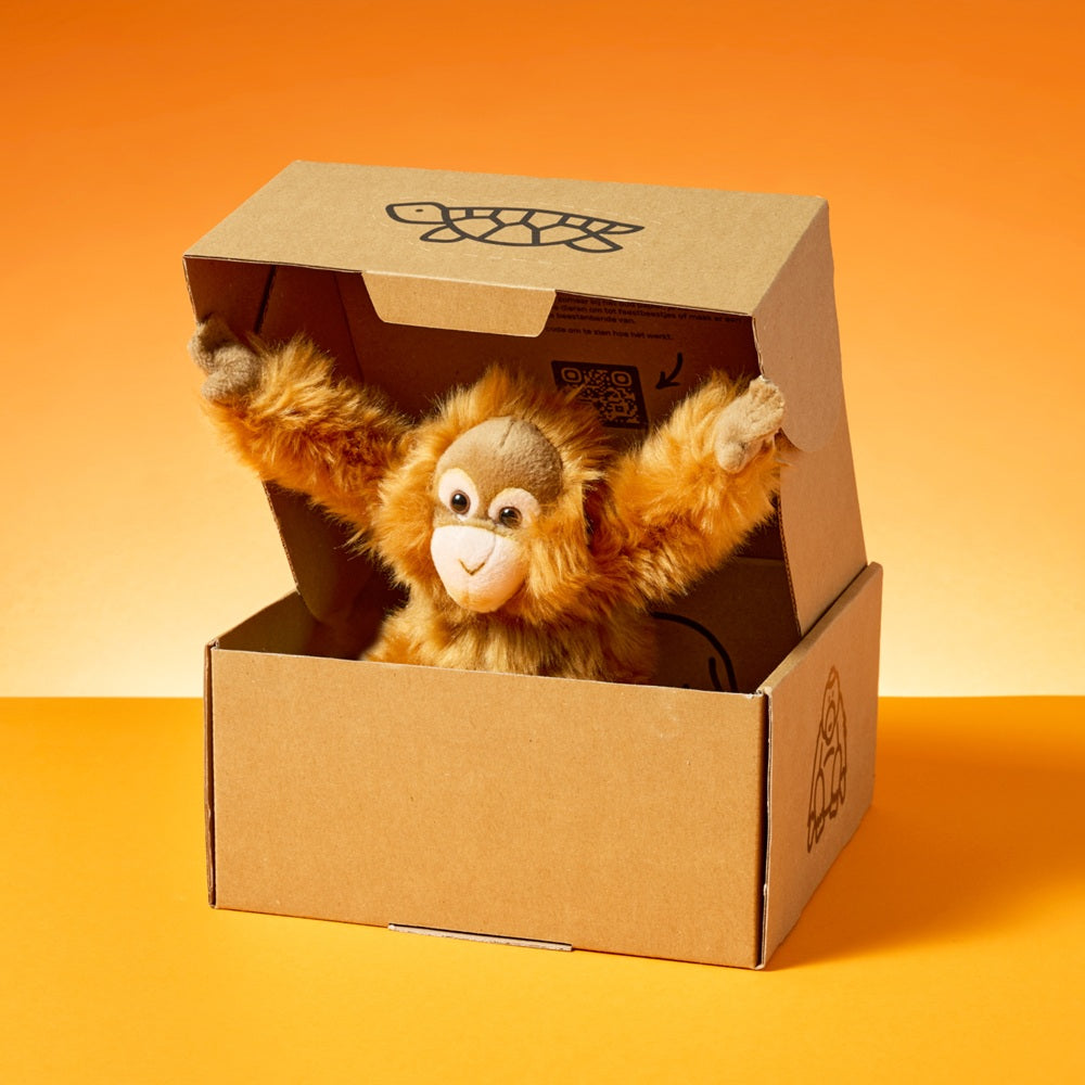 Adopteer een orang-oetan 01 
