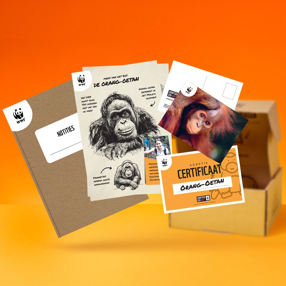 Adopteer een orang-oetan 03