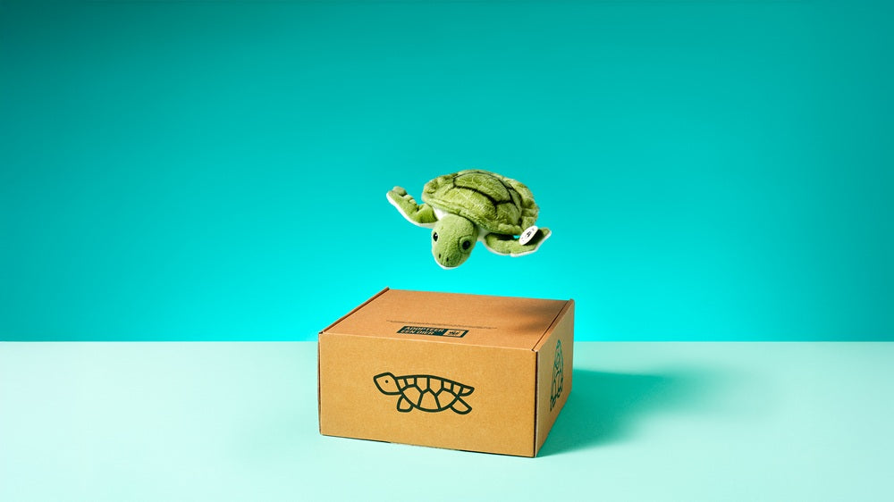 Adopteer een zeeschildpad blok