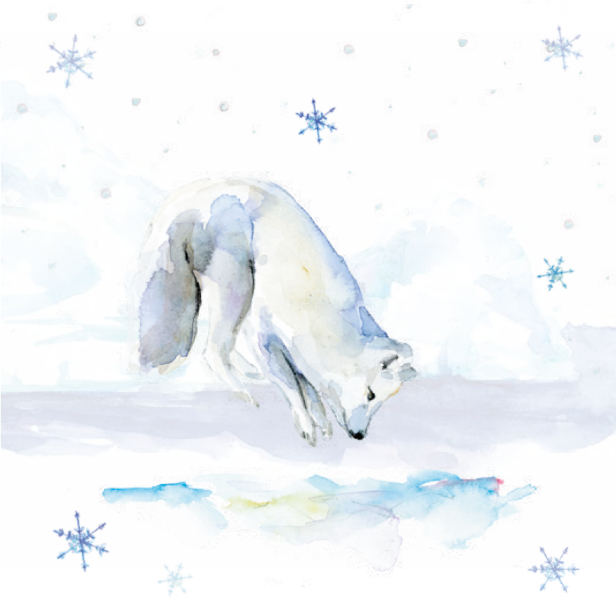 Bekking & Blitz x WWF kerstkaarten Arctic winter Michelle Dujardin 03 WWF-Webshop