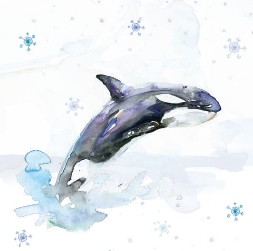 Bekking & Blitz x WWF kerstkaarten Arctic winter Michelle Dujardin 04 WWF-Webshop