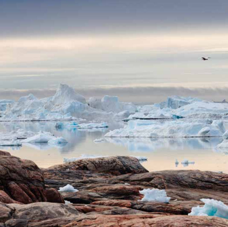 Bekking & Blitz x WWF kerstkaarten Besneeuwde landschappen 01 WWF-Webshop