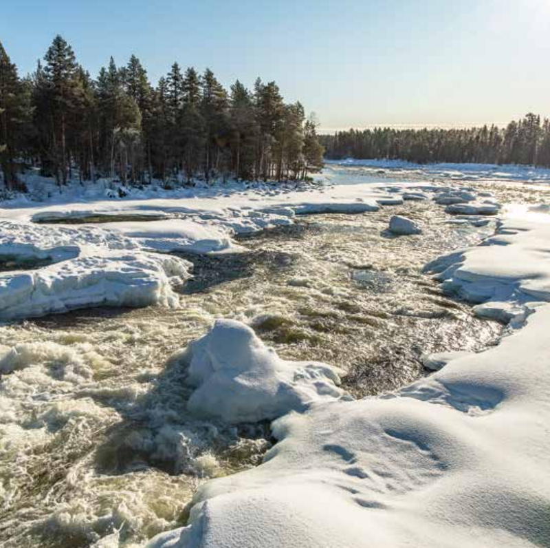 Bekking & Blitz x WWF kerstkaarten Besneeuwde landschappen 03 WWF-Webshop