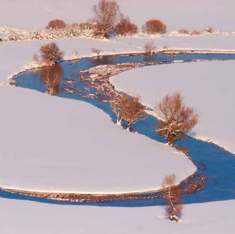Bekking & Blitz x WWF kerstkaarten Besneeuwde landschappen 04 WWF-Webshop
