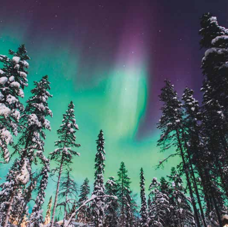 Bekking & Blitz x WWF kerstkaarten Besneeuwde landschappen 05 WWF-Webshop