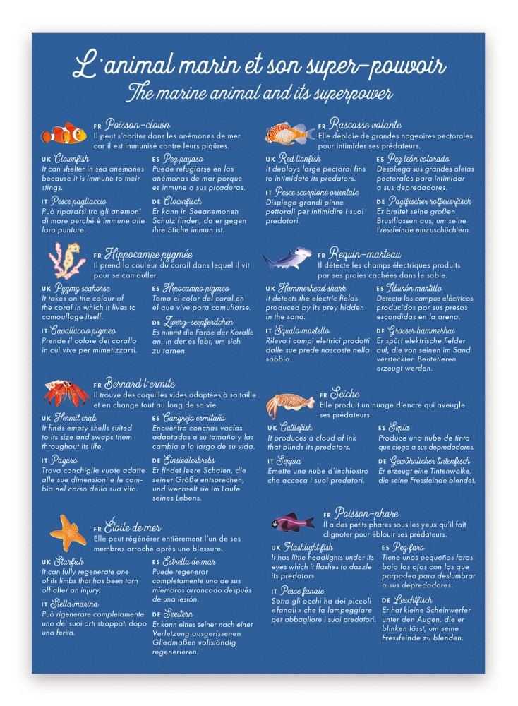 Memo geheugenspel PC Oceaandieren 03 WWF-Webshop