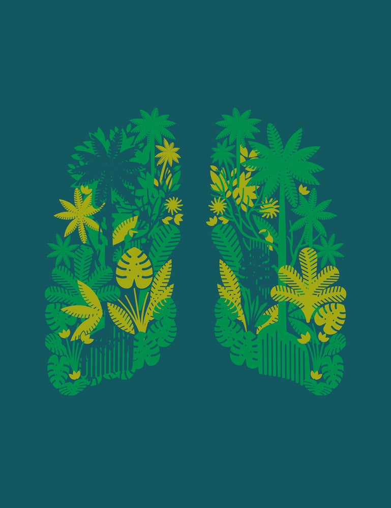 Okimono x WWF Groene Longen detail WWF-Webshop
