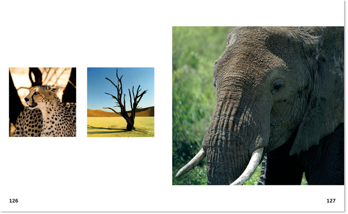 Onze laatste restjes ongerepte natuur p126-127 WWF-Webshop