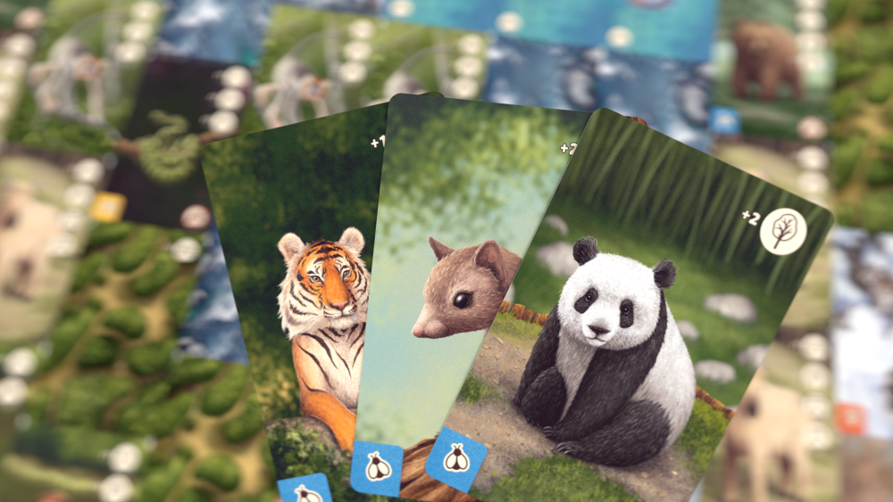 PANDA kaartspel 03 WWF-Webshop