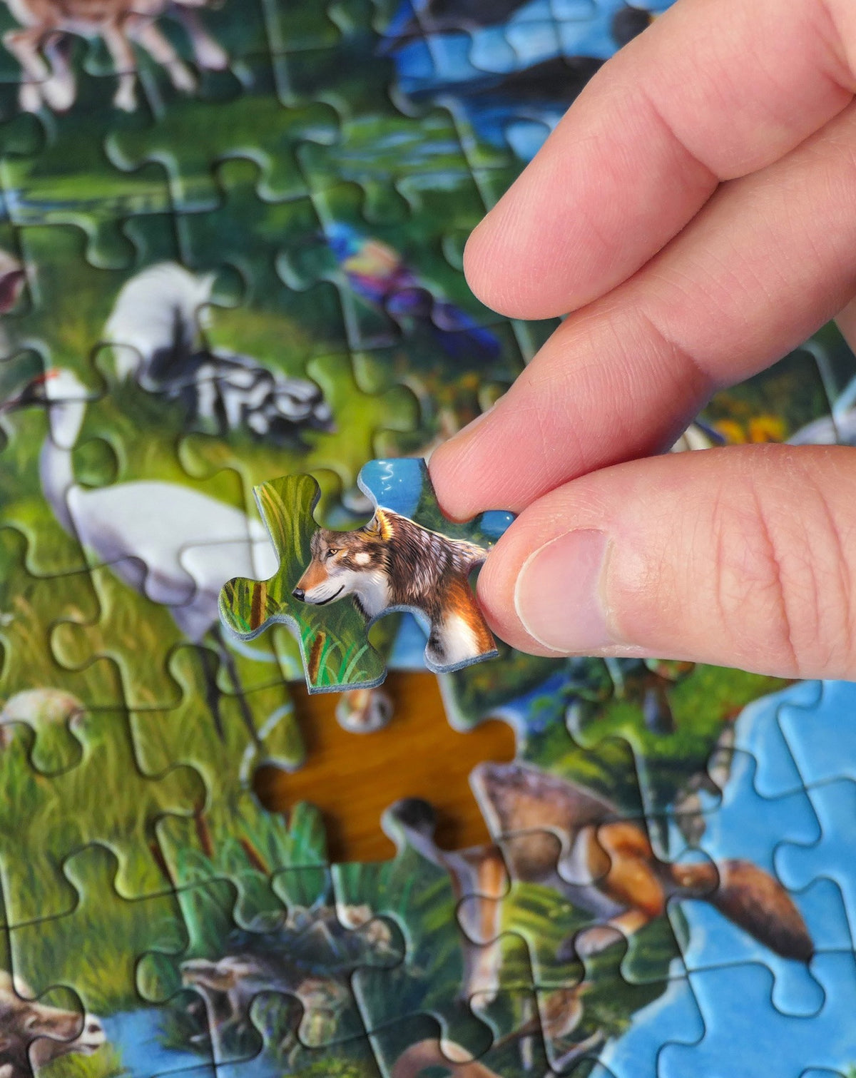 Puzzel The Endangered Species Collection nr2 TheWorldMap 03 WWF-Webshop