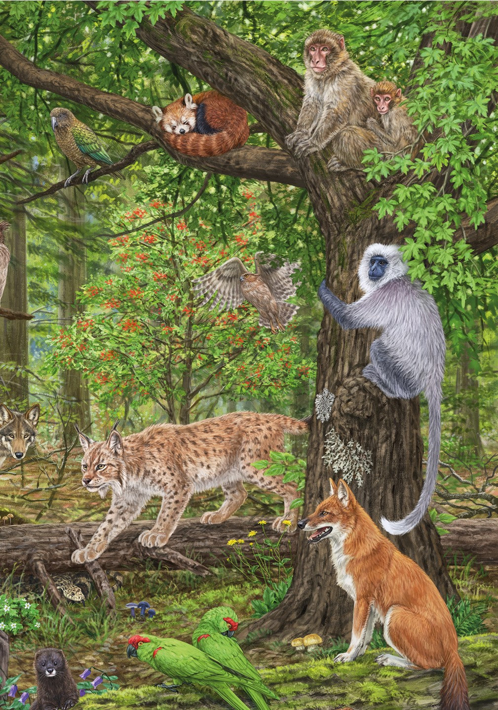 Puzzel The Endangered Species Collection nr3 TemperateForest 03 WWF-Webshop