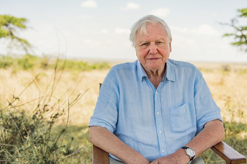 Ambassadeur Sir David Attenborough WWF