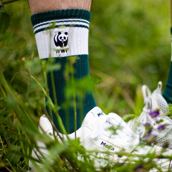 Sokken collectie WWF