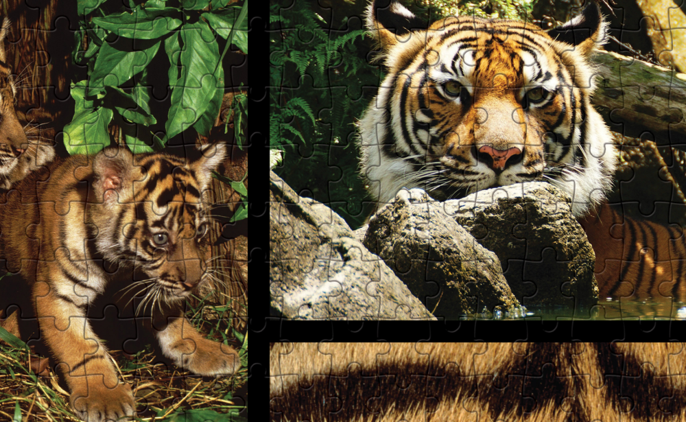 Tijger puzzel detail WWF-Webshop
