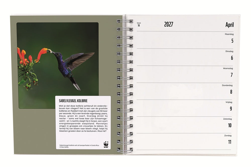WWF Agenda 2027 WWF-Webshop