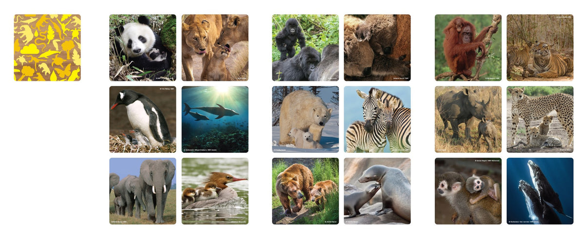 WWF Memory tegels Dierenfamilies WWF-Webshop