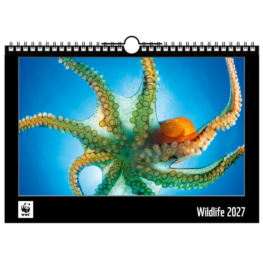 WWF Wandkalender 2027 groot WWF-Webshop