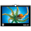 WWF Wandkalender 2027 groot WWF-Webshop