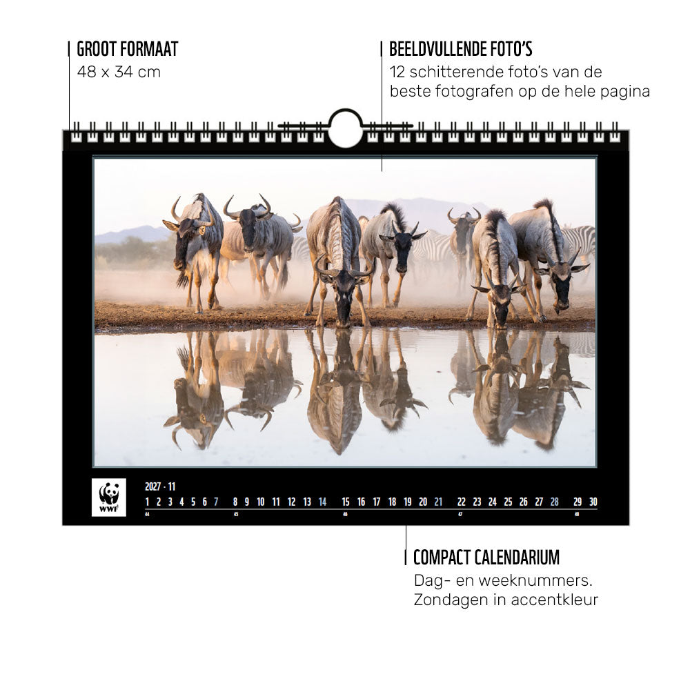 WWF Wandkalender 2027 - groot