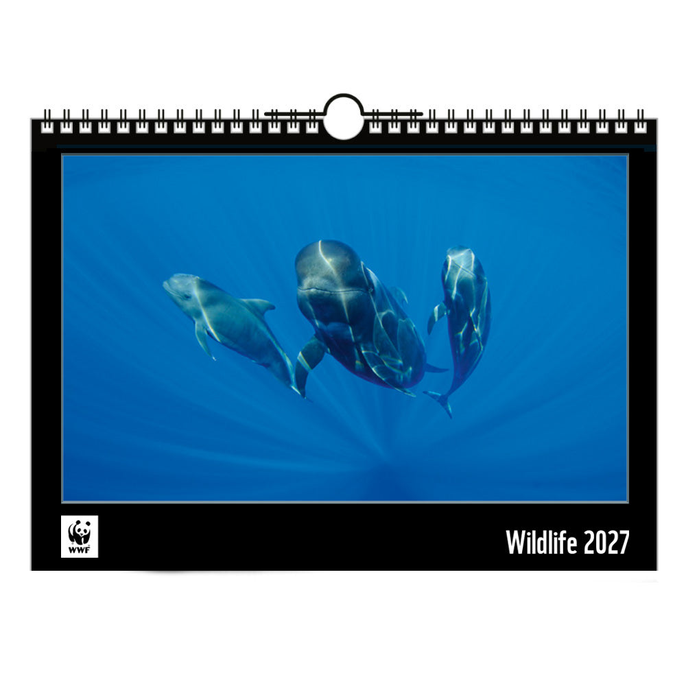 WWF Wandkalender 2027 middelgroot WWF-Webshop