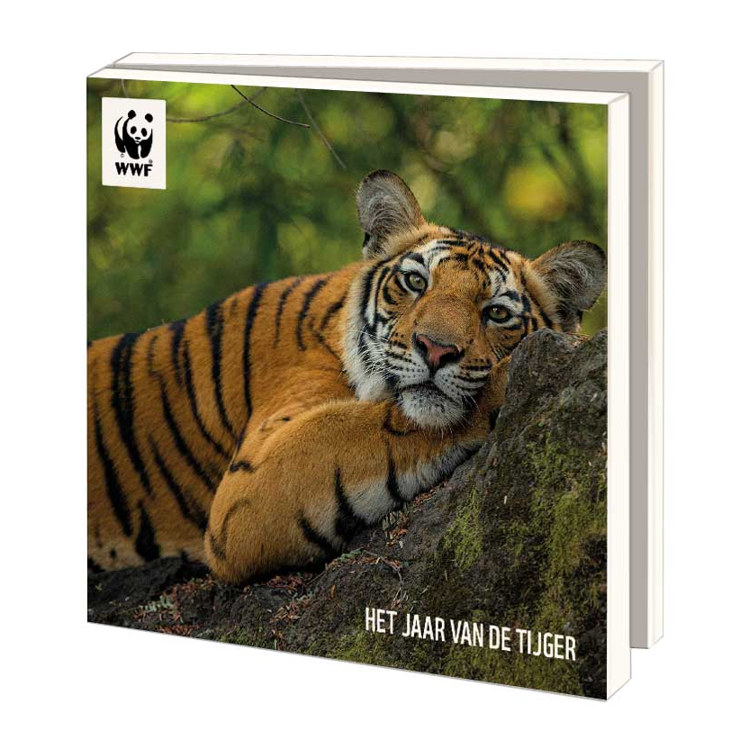 WWF ansichtkaartenmapje - Het jaar van de tijger - 10 vierkante kaarten met envelop