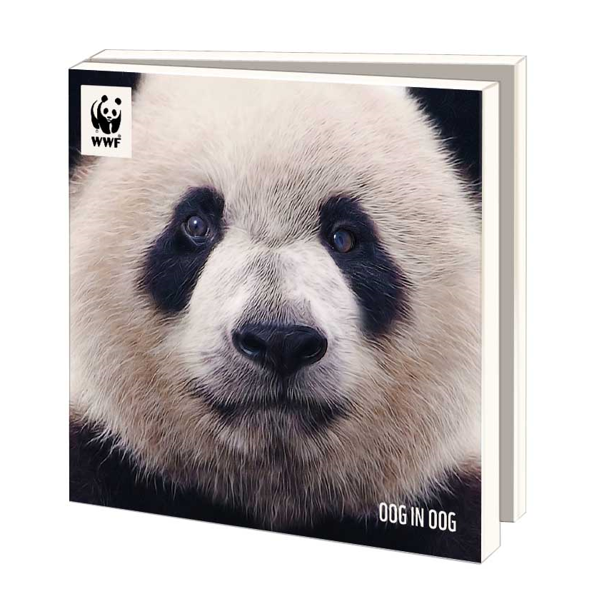 WWF ansichtkaartenmapje - Oog in oog - 10 vierkante kaarten met envelop