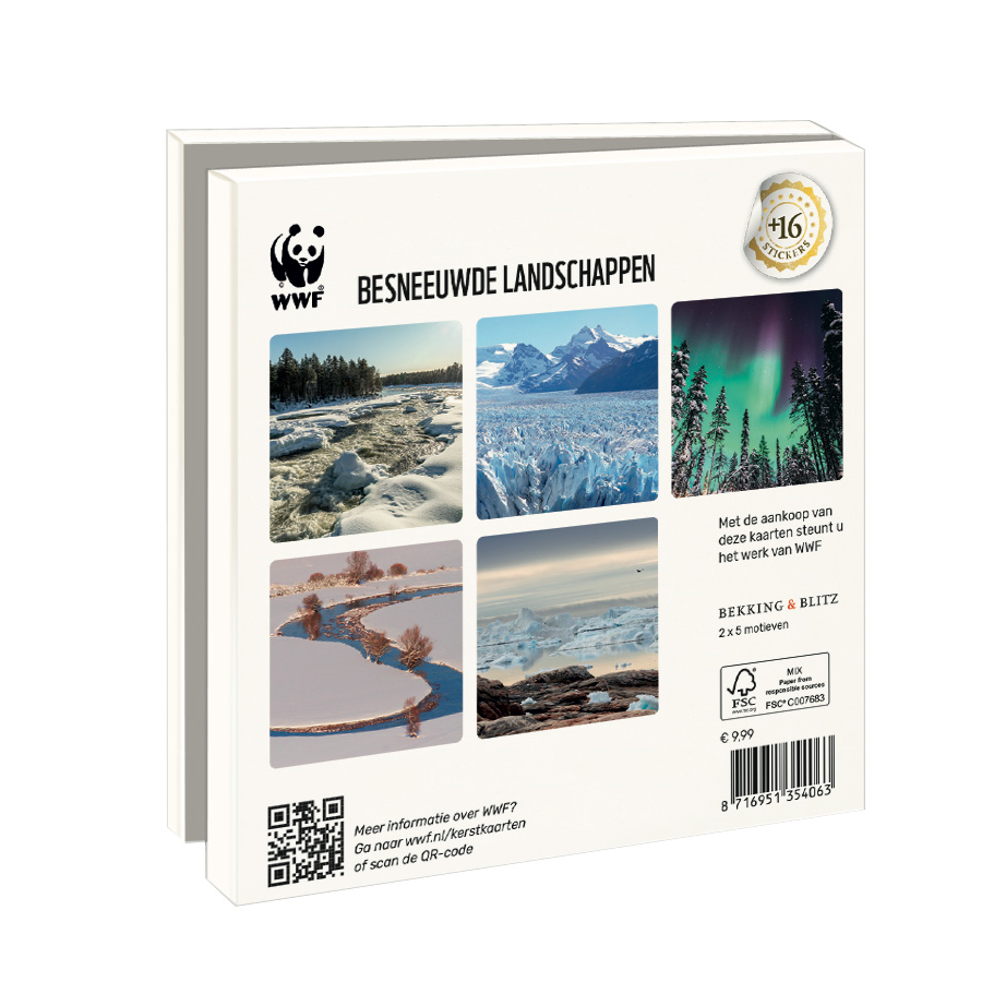 WWF ansichtkaartenmapje - Besneeuwde landschappen - 10 vierkante (kerst)kaarten met envelop