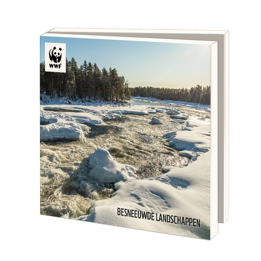 WWF ansichtkaartenmapje - Besneeuwde landschappen - 10 vierkante (kerst)kaarten met envelop
