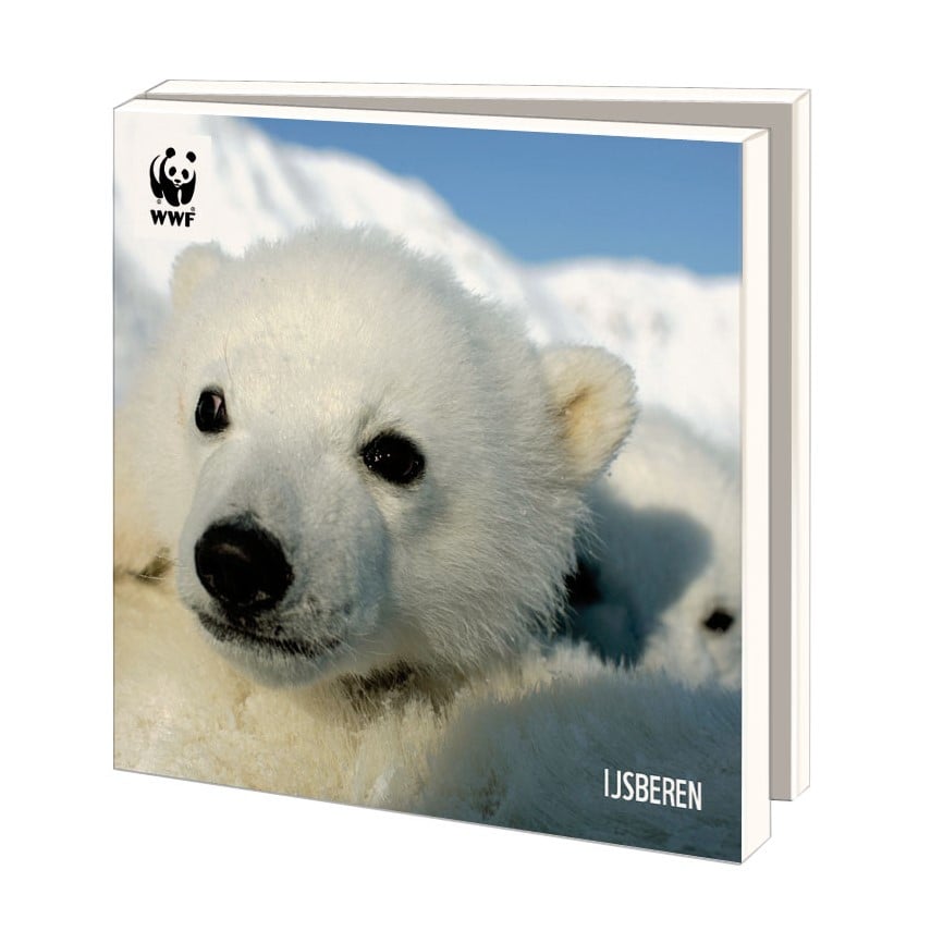 WWF kerstkaartenmapje - IJsberen - 10 vierkante kerstkaarten met envelop