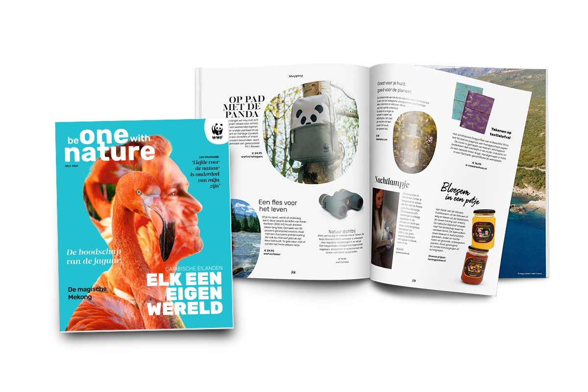 Banner WWF BOWN Magazine juni 2026 WWF-Webshop