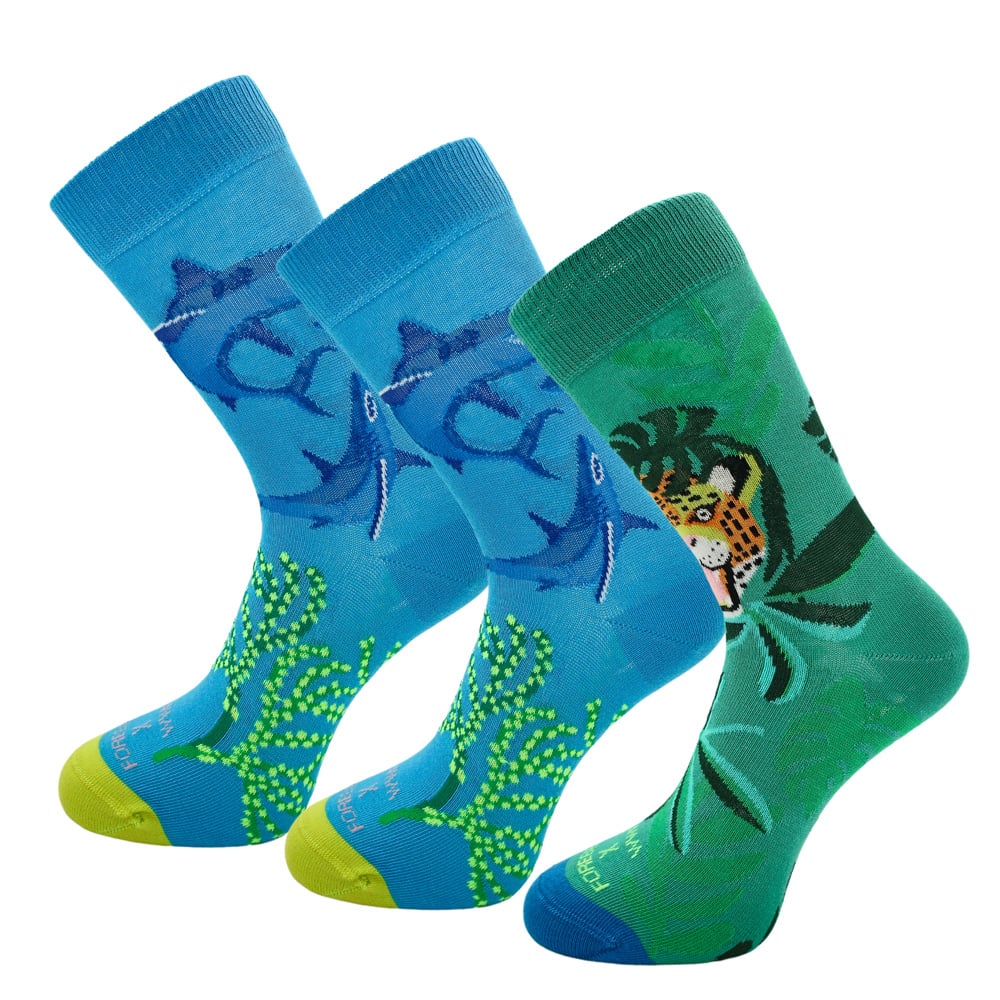 Forebel x WWF - sock by sock - Shark