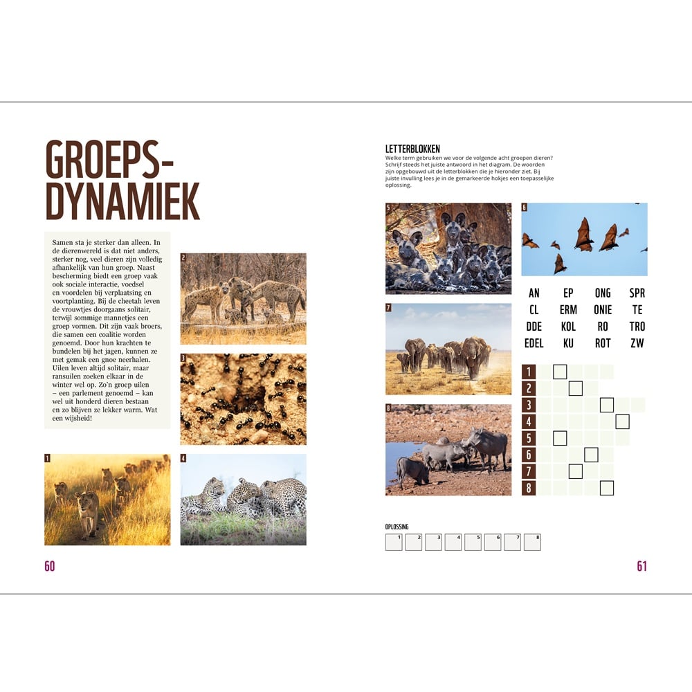 Het WWF Dieren puzzelboek