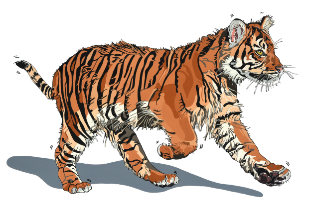 kaart tijger tine van houselt WWF-Webshop