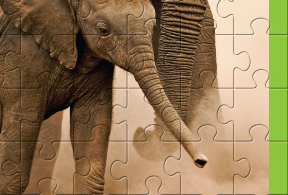 Olifant puzzel detail WWF-Webshop