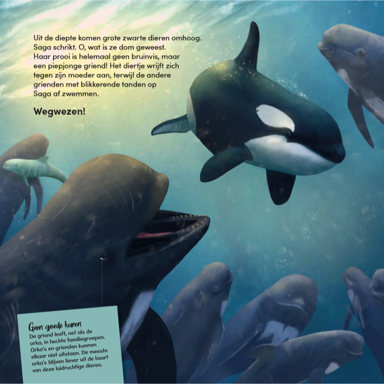 saga pagina 03 WWF-Webshop