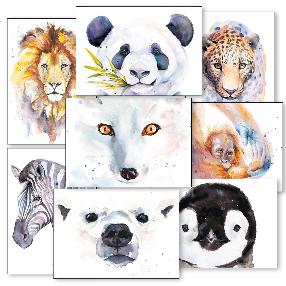 Set van 8 ansichtkaarten - Aquarel tekeningen dieren