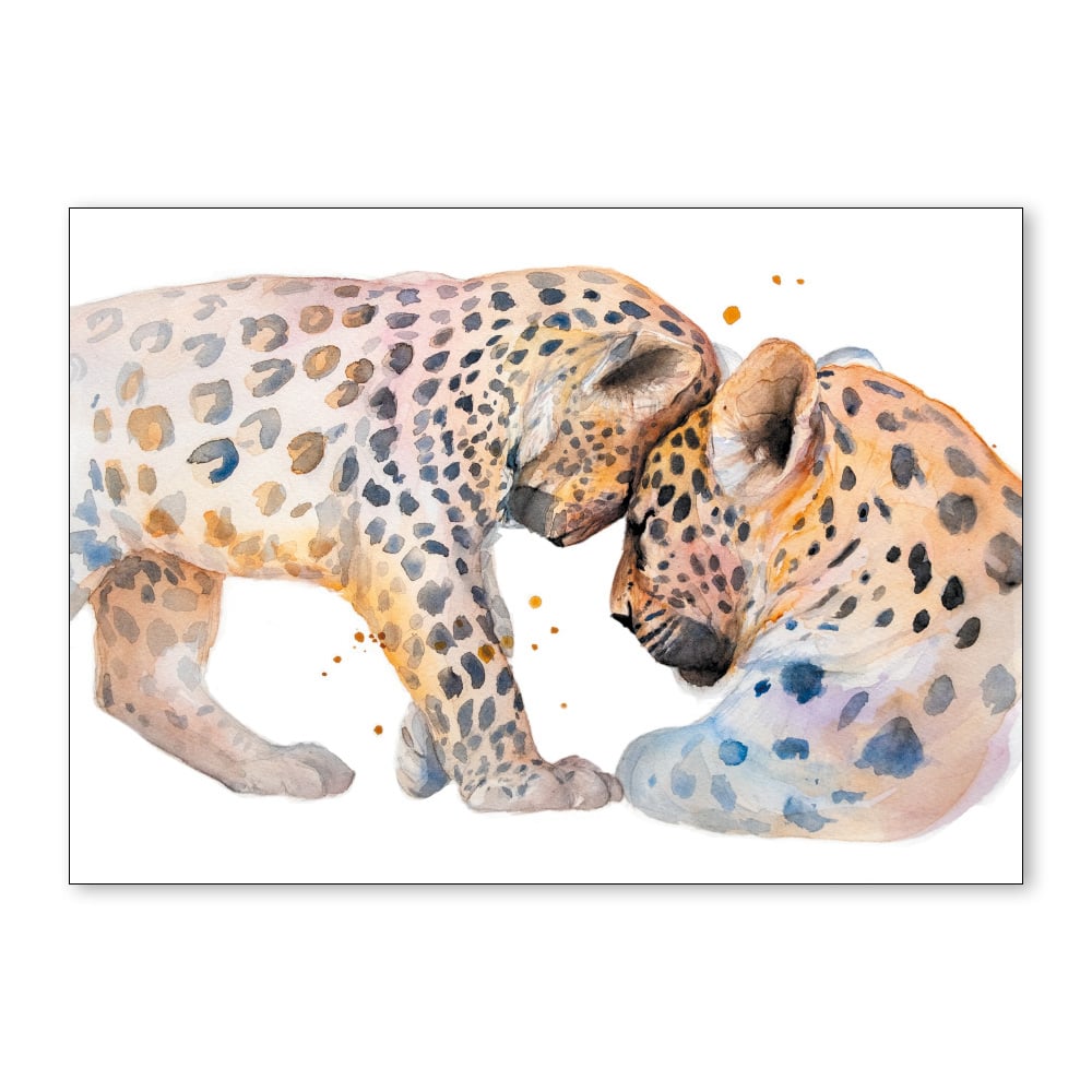 Set van 8 ansichtkaarten - Aquarel tekeningen dieren