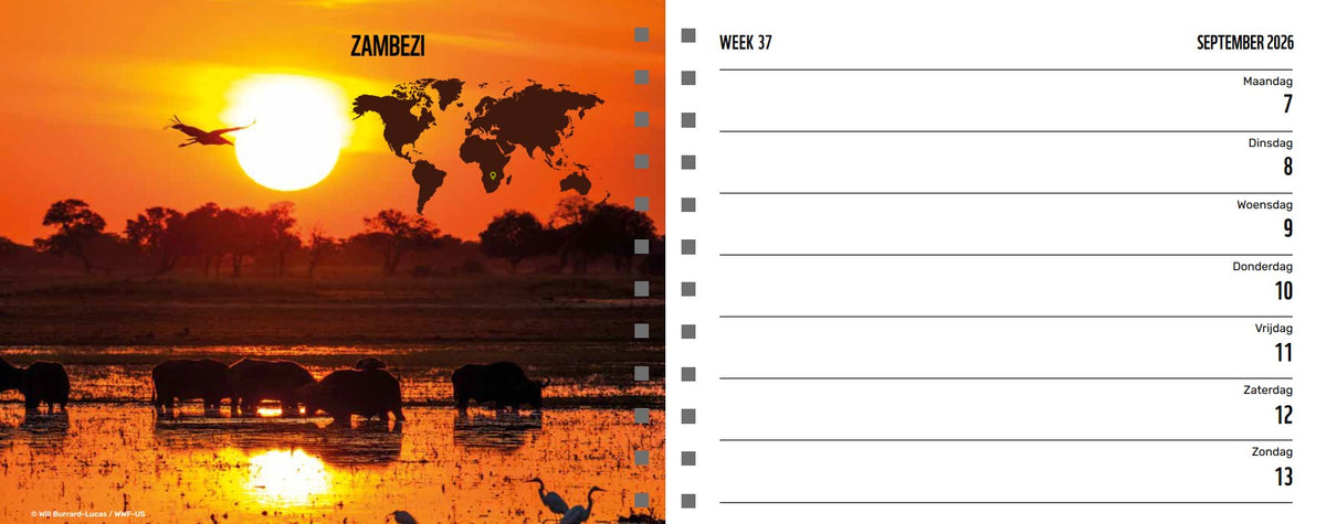 WWF-Agenda 2026